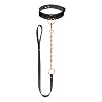 Obojok s vodítkom Rosy Gold Collar with Leash čierny